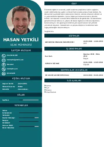 Havacılık Ve Uzay Uçak Mühendisi Cv Örnekleri cv indir